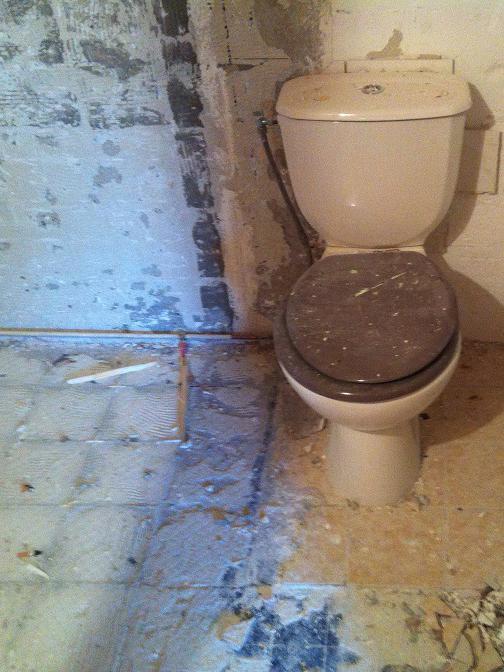 Before image